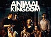 Animal Kingdom