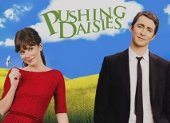 Pushing Daisies