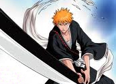 Bleach