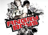 Angry Boys