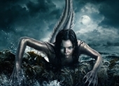 Siren