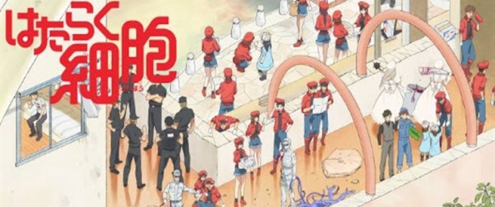 Hataraku Saibou