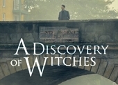 A Discovery of Witches