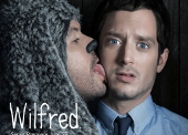 Wilfred