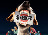 Terriers