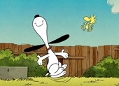 The Snoopy Show