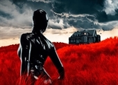 American Horror Stories