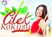 Çilek Kokusu